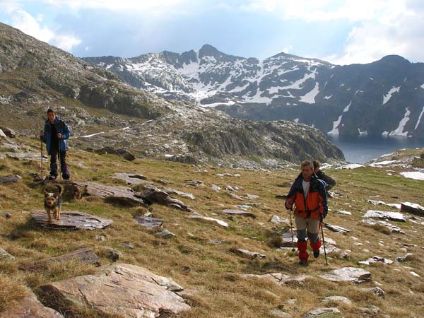 2.12 Prop de la perxa nivologica 2370 m